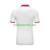 Maillot de Foot Tunisie Exterieur 2023/24
